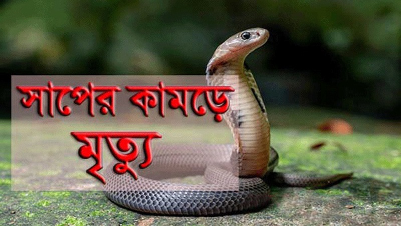 গোমস্তাপুরে সর্প দংশনে শিশুর মৃুত্য